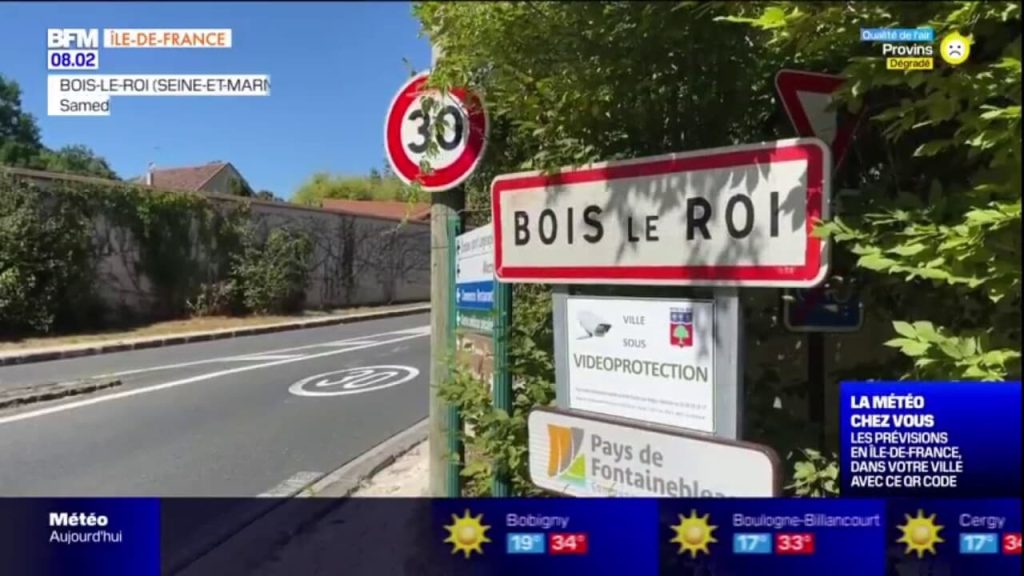 Panneau d'entrée de Bois-le-Roi